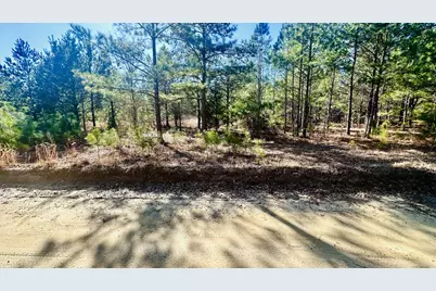 0 Loon Road, Barnwell, SC 29812 - Photo 7