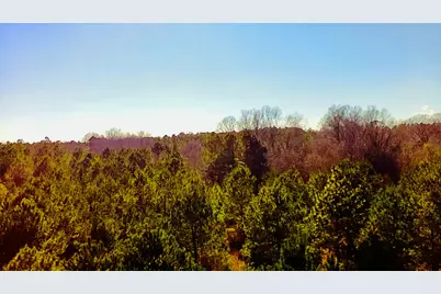 0 Loon Road, Barnwell, SC 29812 - Photo 5