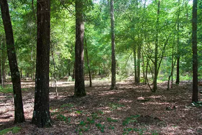 1515B Hephzibah - McBean Road, Hephzibah, GA 30815 - Photo 19