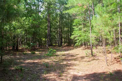 1515B Hephzibah - McBean Road, Hephzibah, GA 30815 - Photo 7