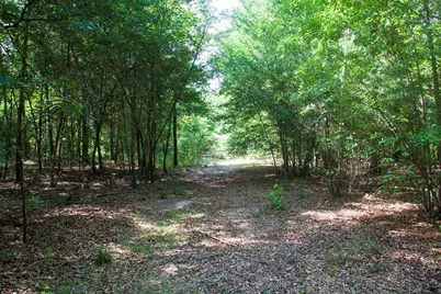 1515B Hephzibah - McBean Road, Hephzibah, GA 30815 - Photo 17