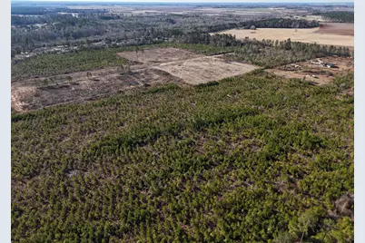 0 Spread Oak Road, Keysville, GA 30816 - Photo 7