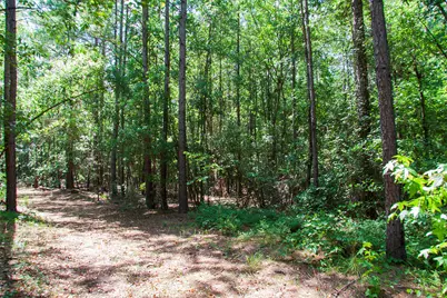 1515C Hephzibah - McBean Road, Hephzibah, GA 30815 - Photo 19