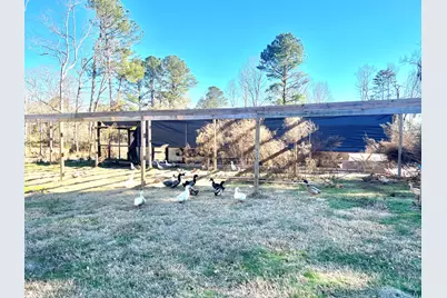 1274 Hwy 171, Louisville, GA 30434 - Photo 5