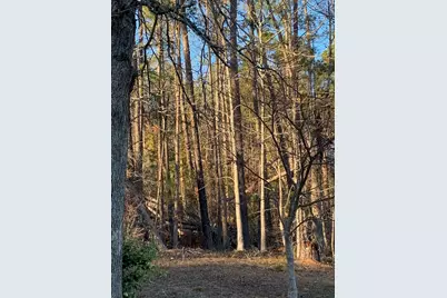 Tract F Martintown Road, North Augusta, SC 29860 - Photo 1