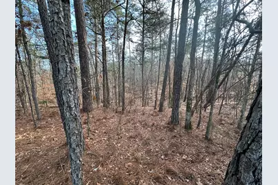 B63  L27 Half Moon Lane, McCormick, SC 29835 - Photo 5