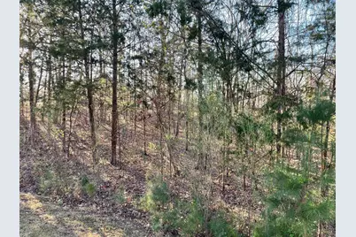 Lot 22 Plantation Point, Lincolnton, GA 30817 - Photo 5