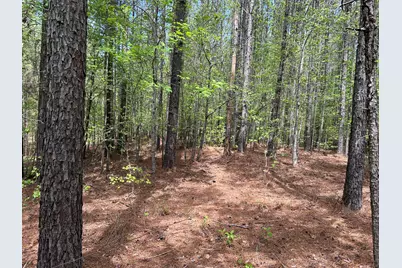 1147 Watersedge Cove, Tignall, GA 30668 - Photo 3