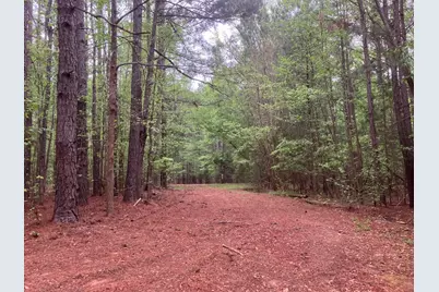 945 Neptune Trail, Appling, GA 30802 - Photo 5