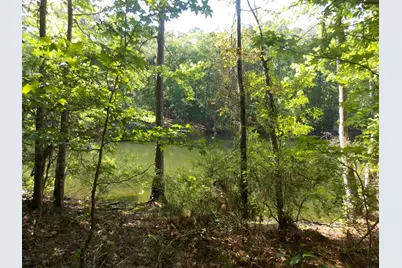 13 Riverview Ct, Lincolnton, GA 30817 - Photo 3