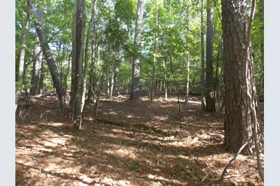 12 Riverview Court, Lincolnton, GA 30817 - Photo 3