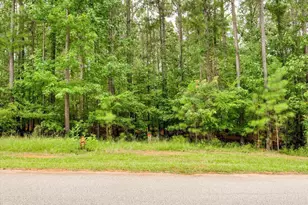 Lot 58 Lighthouse Pointe, Lincolnton, GA 30817 - Photo 1