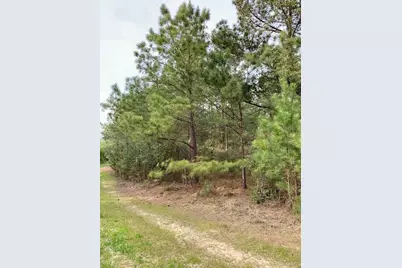 2405 Hwy 88, Hephzibah, GA 30815 - Photo 3