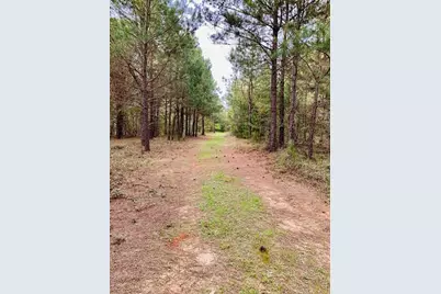 2405 Hwy 88, Hephzibah, GA 30815 - Photo 5