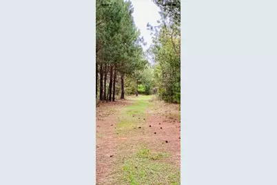 2405 Hwy 88, Hephzibah, GA 30815 - Photo 13