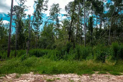 Lot 4 Furey Drive, Clarks Hill, SC 29821 - Photo 5