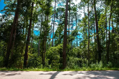 Lot 4 Furey Drive, Clarks Hill, SC 29821 - Photo 1