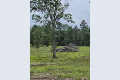 365 Shagbark Way, Harlem, GA 30814 - Photo 3