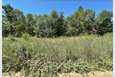 Lot 11 Marie Vann Road, Waynesboro, GA 30830 - Photo 7