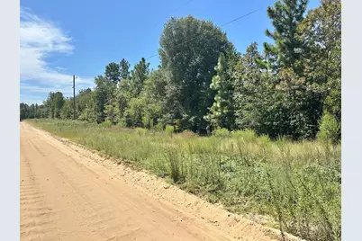 Lot 11 Marie Vann Road, Waynesboro, GA 30830 - Photo 5