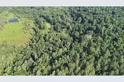 0 Swamp Road, Beech Island, SC 29842 - Photo 11