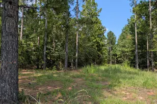 00A Elberton Hwy, Lincolnton, GA 30817 - Photo 1