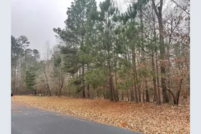 Lot 18 South Pointe Court, Lincolnton, GA 30817 - Photo 7