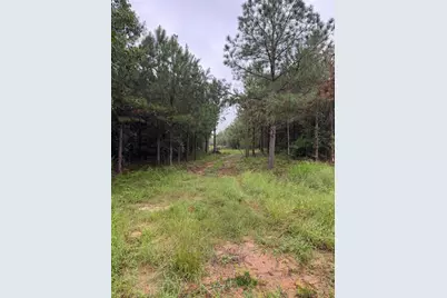 0 Highway 23, Waynesboro, GA 30830 - Photo 1