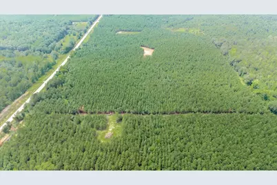 0 Highway 23, Waynesboro, GA 30830 - Photo 5