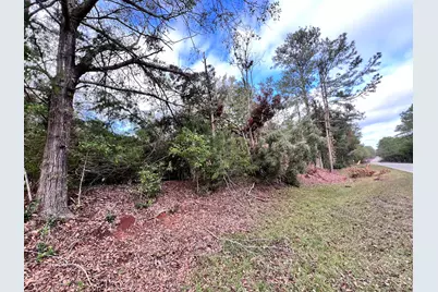 Lot C Ridge Road, Appling, GA 30802 - Photo 3