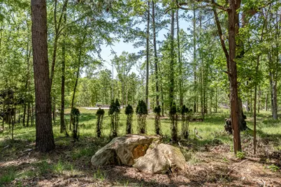 1250 Mosley Road, Lincolnton, GA 30817 - Photo 3