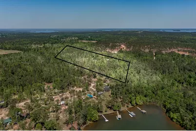 1250 Mosley Road, Lincolnton, GA 30817 - Photo 1