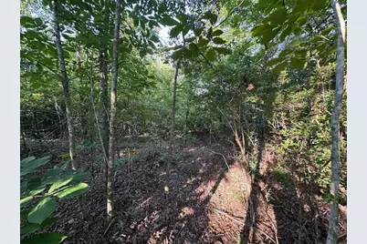 2576 Jessie James Pond Road, Wrens, GA 30833 - Photo 45