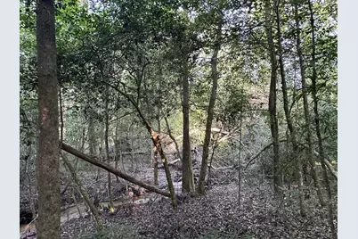 2576 Jessie James Pond Road, Wrens, GA 30833 - Photo 25