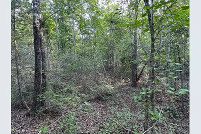 2576 Jessie James Pond Road, Wrens, GA 30833 - Photo 39
