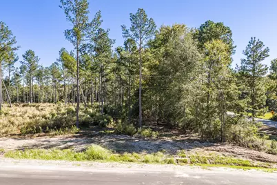 111 Beagle Chase Drive, Appling, GA 30802 - Photo 5