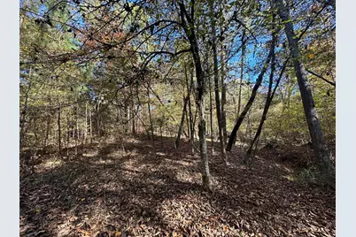Lot 27&28 Lakeshore Estates Drive, Lincolnton, GA 30817 - Photo 9