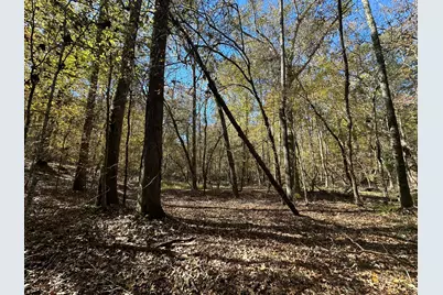 Lot 27&28 Lakeshore Estates Drive, Lincolnton, GA 30817 - Photo 11