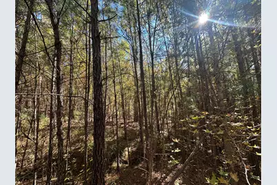 Lot 27&28 Lakeshore Estates Drive, Lincolnton, GA 30817 - Photo 7