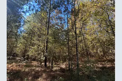 Lot 27&28 Lakeshore Estates Drive, Lincolnton, GA 30817 - Photo 5