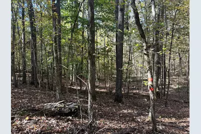 Lot 27&28 Lakeshore Estates Drive, Lincolnton, GA 30817 - Photo 13