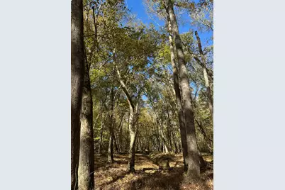 Lot 27&28 Lakeshore Estates Drive, Lincolnton, GA 30817 - Photo 15