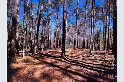 0 Osprey Lane, Martinez, GA 30907 - Photo 5