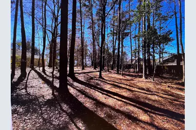 0 Osprey Lane, Martinez, GA 30907 - Photo 3