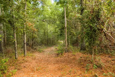 1503 Hephzibah - McBean Road, Hephzibah, GA 30815 - Photo 3