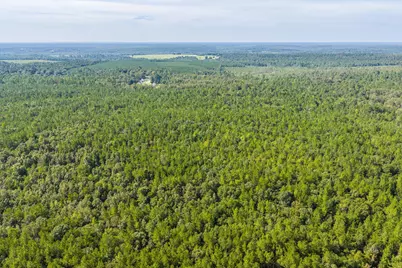 1503 Hephzibah - McBean Road, Hephzibah, GA 30815 - Photo 21