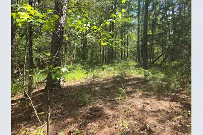 110 Old Course Lane, McCormick, SC 29835 - Photo 15