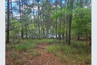 110 Old Course Lane, McCormick, SC 29835 - Photo 11