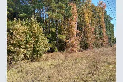 0 Gresham Road, Keysville, GA 30816 - Photo 5