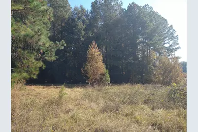 0 Gresham Road, Keysville, GA 30816 - Photo 3